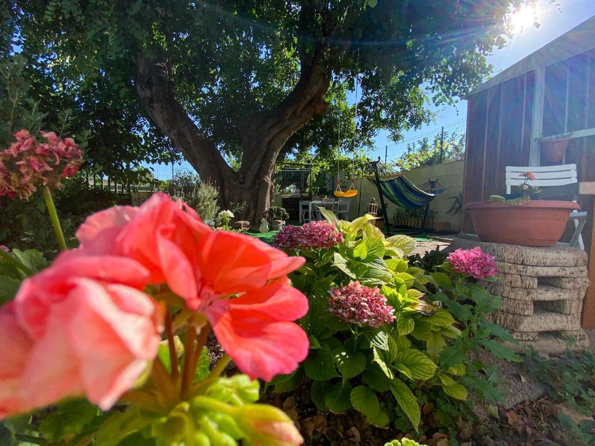 Willa La Casa Del Carrubo Cagliari Zewnętrze zdjęcie